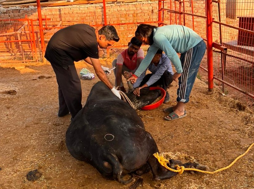 WhatsApp Image 2025-11-11 at 19.17.25